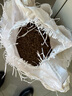 耐寒花種多年生野花組合種子四季開(kāi)花花籽庭院易種活室外花卉 混色百日草 500克（更實(shí)惠） 曬單實(shí)拍圖