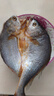 黃小漁寧德黃魚鲞 1200g/3條 三去大黃魚黃花魚燒烤食材夜宵源頭直發(fā) 曬單實拍圖