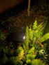 Komebrite太陽(yáng)能庭院燈戶(hù)外射燈防水照樹(shù)燈花園地插草坪燈氛圍燈園林景觀(guān)燈 【2只裝】暖光-可調焦 可調焦射燈 曬單實(shí)拍圖