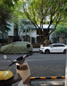 索尼（SONY）ZV-E10 zve10 微單數(shù)碼相機(jī) 4K視頻 入門級APS-C畫幅vlog直播相機(jī) ZV-E10L 【國家補(bǔ)貼】ZV-E10+16-50白色套機(jī) 官方標(biāo)配【不含內(nèi)存卡/相機(jī)包/等】 曬單實(shí)拍圖