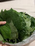 顏曼箐卡婁葉廣東野菜新鮮蛤簍葉山簍葉蛤撈葉越南菜假蔞葉哈嘍葉蛤蔞葉 125g 曬單實(shí)拍圖