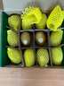 佳沛（zespri）新西蘭 陽光金奇異果12粒禮盒特大果單果約122-146g 獼猴桃 水果 曬單實拍圖