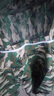 掰玉米防刮臉衣服專用防護(hù)服掰玉米丫神器農(nóng)村下地干活帽透氣防曬護(hù)臉?lè)牢孟x蜜蜂衣服 【小花色】加厚防護(hù)服+網(wǎng)紗帽 曬單實(shí)拍圖