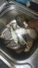 老G黃尾G窩料尾巴餌料黑坑刺客野釣殺手釣魚(yú)添加劑誘魚(yú)顆粒 黃尾顆粒800克三包 曬單實(shí)拍圖