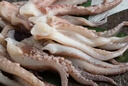 美加佳 魷魚頭 凈重1斤 魷魚須 魷魚爪 燒烤食材 鐵板魷魚 海鮮水產 曬單實拍圖
