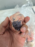 大號(hào)正宗散養(yǎng)山羊原油羊腰子新鮮羊肉夏季燒烤必備生鮮食材批發(fā) 羊腰子10個(gè)(單個(gè)3兩左右) 曬單實(shí)拍圖