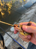 小鳳仙改良金袖魚鉤有無刺成品進(jìn)口子線雙鉤鯽魚袖鉤 4號鉤+子線1.0/1.2 曬單實拍圖