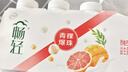伊利【李現(xiàn)推薦】 暢輕低溫酸奶生牛乳西柚芒果青稞爆珠250g*4酸牛奶 曬單實(shí)拍圖