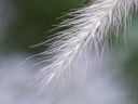騰龍（Tamron）F072S 90mm F2.8 Di III MACRO VXD定焦微距鏡頭 人像昆蟲花草口腔 全畫幅微單鏡頭(索尼全幅E口) 曬單實(shí)拍圖