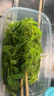 開袋即食酸甜裙帶菜梗絲下飯菜海藻沙拉400g/袋 400g*4袋 曬單實拍圖