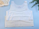 貓人兒童內衣女生6-12歲青春發(fā)育期薄款小學(xué)生少女一階段無(wú)痕背心文胸 【單件裝】白色 M 【75/建議45-60斤】 曬單實(shí)拍圖