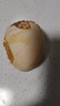 谷物鮮雞蛋 農(nóng)戶散養(yǎng)新鮮雞蛋 單枚40g±5 10枚（40克/枚） 曬單實(shí)拍圖