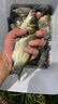 小鳳仙魚漂套裝全套黑坑野釣浮漂加粗醒目高靈敏鯽魚漂帶漂盒浮漂套裝 12支【梅蘭竹菊2.2倍醒目套裝】ABS套裝 綜合套裝 曬單實拍圖