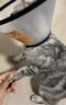 OYKTN伊麗莎白貓圈狗狗貓咪項圈脖套防舔咬圈軟伊莉莎白圈寵物頭套項圈 特大號 參考46-90斤狗大型犬 曬單實(shí)拍圖