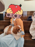 耀王女童漢服春秋長(cháng)袖兒童唐裝格格服幼兒園中秋表演服 YY03 銀杏 120 曬單實(shí)拍圖