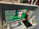 飛利浦EVNIA 31.5英寸4K240Hz QD-OLED動態(tài)冷卻 原生10bit 0.03ms 音響 O8電競顯示器 國家補(bǔ)貼32M2N8800 曬單實(shí)拍圖