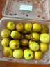 方家鋪子中華老字號 新疆灰棗500g 1斤紅棗果干新疆特產(chǎn) 泡茶煲湯煮粥零食 曬單實拍圖