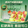 秦悅仙果鮮【京嚴選-多地隔日達】山東青州蜜桃新鮮毛桃子軟硬兩吃孕婦水果 5斤裝【京嚴選】單果70-100g+凈重4.5 曬單實(shí)拍圖