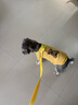 曇蓓漫狗狗牽引繩背心式小型犬寵物外出用品貓咪胸背幼犬比熊泰迪遛狗繩 【小樹苗L】（建議體重8-16斤） 【貼合身形 舒適不勒 安全防脫】 曬單實(shí)拍圖