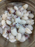 墨魚(yú)仔新鮮冷凍小墨魚(yú)鮮活冷凍烏賊小魷魚(yú)撈汁小海鮮火鍋食材撈汁 墨魚(yú)仔帶冰2斤(40-60個(gè))小號 曬單實(shí)拍圖