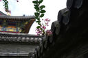 騰龍（Tamron）A067S 50-400mm F/4.5-6.3 Di III VC VXD防抖人像演唱會超長焦索尼全畫幅鏡頭(索尼全幅E口） 曬單實拍圖