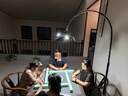 好萊仕打麻將專用落地?zé)粢槐K就夠客廳臥室燈書房創(chuàng)意簡約麻雀閱讀釣魚燈 麻將燈一盞就夠五福臨門款120瓦 曬單實拍圖