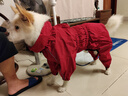 MOEPIE狗狗雨衣中大型犬邊牧金毛柴犬四腳防水全包新款連帽沖鋒衣 紅色（帶帽款可拆卸） 2XL（推薦34-40斤狗狗） 曬單實(shí)拍圖