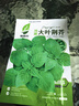 唯友（WEIYOU）食用馬齒莧種子種籽馬芷莧籽種盆栽馬莧菜蔬菜孑莧菜秋季青菜菜籽 馬齒莧種子一包(約18000粒) 曬單實拍圖