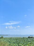 幫寶適【夏天超薄透氣】清新幫透氧Pro嬰兒拉拉褲XL84片 尿片尿不濕 曬單實拍圖