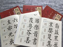 顏楷入門(mén)1+1 全套5冊 顏真卿多寶塔碑顏勤禮碑 解析字體結構筆畫(huà)解析集字作品 顏體顏楷毛筆書(shū)法教程 顏真卿楷書(shū)入門(mén)練字帖 福建美術(shù)出版社 曬單實(shí)拍圖