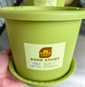 史丹利花盆家用水培蘭花蝴蝶蘭青山盆塑料托盤(pán)多肉植物大號加侖盆 園藝花盆蘋(píng)果綠【口徑200mm】 4只裝（帶托盤(pán)） 曬單實(shí)拍圖