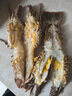 哆鮮生 海捕青龍蝦 鮮活冷凍國產(chǎn)小青龍大花龍蝦海鮮送禮生鮮蝦類(lèi) 大號 3只裝 凈重700-800g 曬單實(shí)拍圖