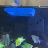 魚(yú)食投喂圈喂食圈水族箱投食圈魚(yú)缸喂食圈熱帶魚(yú)魚(yú)糧魚(yú)飼料投食器 魚(yú)缸喂食器-藍(lán)色方形-1個(gè) 曬單實(shí)拍圖