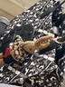 Tory Burch  湯麗柏琦【限時(shí)禮遇】 ELLA 小號(hào)印花托特包TB 164880 多彩 Logo 圖案 001 OS 曬單實(shí)拍圖