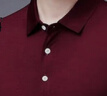 皮爾卡丹（pierre cardin）男士翻領(lǐng)短袖T恤桑蠶絲大碼純色半袖T中青年T恤衫男易穿搭 酒紅色 175/92A 建議130-150斤 曬單實(shí)拍圖