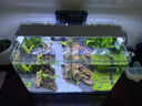 西游水族魚(yú)缸造景全套熱彎玻璃缸客廳小型桌面免換水生態(tài)草缸迷你金魚(yú)缸 長(cháng)40*寬22*高25-峽谷款造景全套 曬單實(shí)拍圖