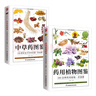 藥用植物圖鑒+中草藥圖鑒套裝（全2冊）生活百科全圖鑒 曬單實(shí)拍圖