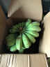 禁止蕉綠可食用綠植工位水養綠植寶寶蕉自然熟蘋(píng)果蕉小米蕉 【帶桿】9~ 10斤 帶箱 送吊牌 曬單實(shí)拍圖