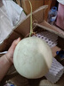 黃六爺新鮮頭茬冰淇淋玉菇甜瓜大果9當(dāng)季新鮮水果斤整箱香瓜羊角脆蜜瓜 3斤【精品大果】1-2顆~新鮮超甜 曬單實(shí)拍圖