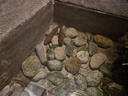 森森（SUNSUN）魚池過濾器大型魚缸過濾桶錦鯉池凈化器水池循環(huán)設(shè)備池塘過濾系統(tǒng) CPF-1500/2噸水（含水泵水管全套） 曬單實拍圖