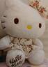 凱蒂貓（hellokitty）KT貓毛絨玩偶玩具女孩娃娃七夕情人節禮物女孩生日禮物 曬單實(shí)拍圖
