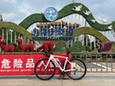坎普（CAMP）SR3 碟剎版自行車碳纖維前叉輕量鋁合金運動順泰一體式油碟公路車 白銀色 22速 490碼 700C 曬單實拍圖