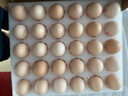 德青源可生食雞蛋含DHA30枚3斤/盒 無抗生素 營養(yǎng)早餐 源頭直發(fā)包郵 曬單實拍圖
