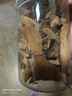 愛蜀味高良姜50g 罐裝 無硫良姜燉肉鹵料去腥提味 冬陰功湯料香料 曬單實拍圖