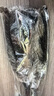 霜山SHIMOYAMA鴕鳥(niǎo)毛撣子除塵掃灰不掉毛雞毛撣子家用清灰不帶靜電除塵撣子 【清灰除塵】長(cháng)柄-總長(cháng)約70cm 曬單實(shí)拍圖