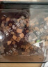 老谷頭赤小豆芡實(shí)薏米茶420g茯苓熟茶紅豆薏米茶4種原料養(yǎng)生茶泡水 曬單實(shí)拍圖