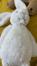 Jellycat害羞乳白色邦尼兔動物毛絨玩偶安撫玩偶送禮娃娃生日新婚禮物 乳白色 Medium 曬單實拍圖
