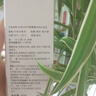 奕香鮮薄荷香水薄荷味小眾香水清新留香冷調中性男女淡香NO.629 NO.629（鮮薄荷） 25ml 曬單實拍圖