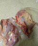 硒全食美富硒老鴿 凈重400g/只 冷凍 供港鴿子生鮮冷鏈 煲湯優(yōu)選鹵煮食材 曬單實拍圖
