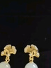 珍尚銀中國黃金S925和田玉銀耳釘女耳環(huán)墜七夕情人節(jié)生日禮物送女友老婆 曬單實(shí)拍圖
